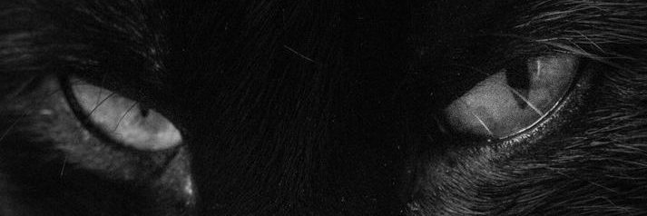 LoryDarkX's profile banner image