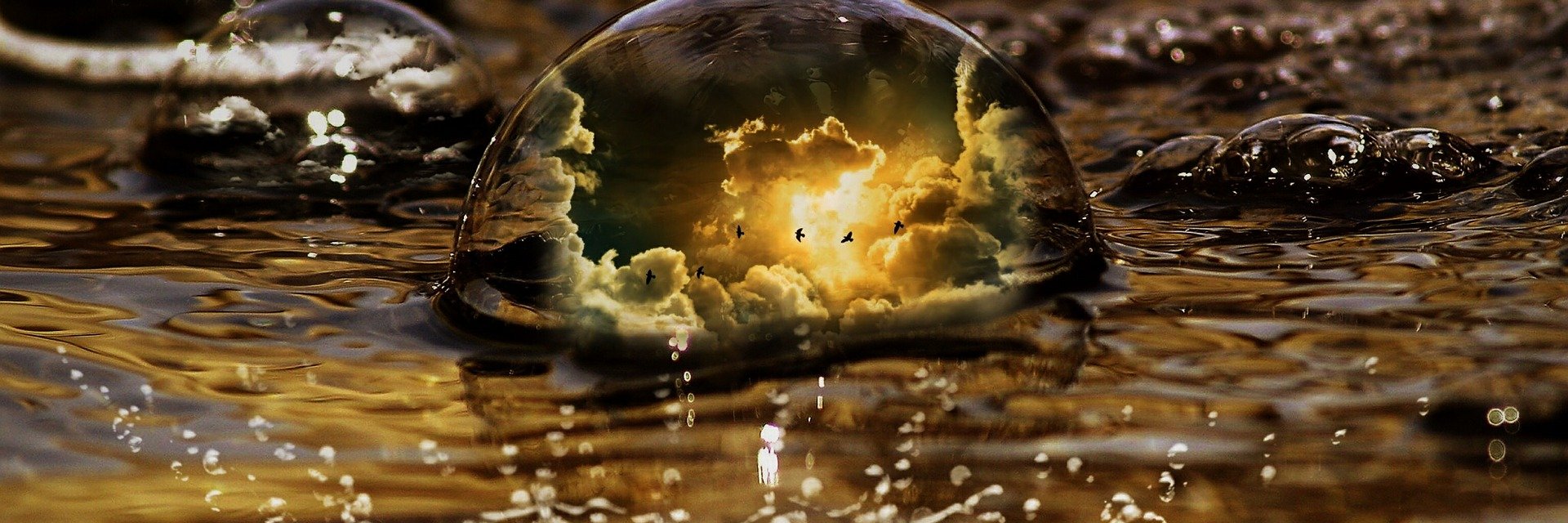 Wendyhoeck's profile banner image