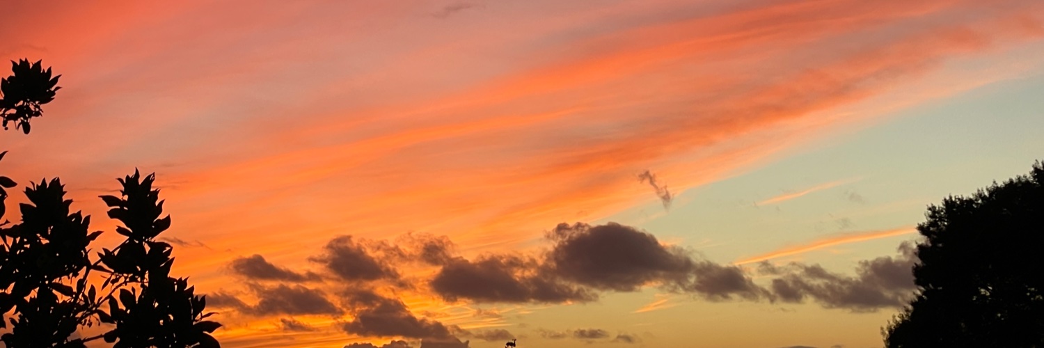 DylanRaithel's profile banner image