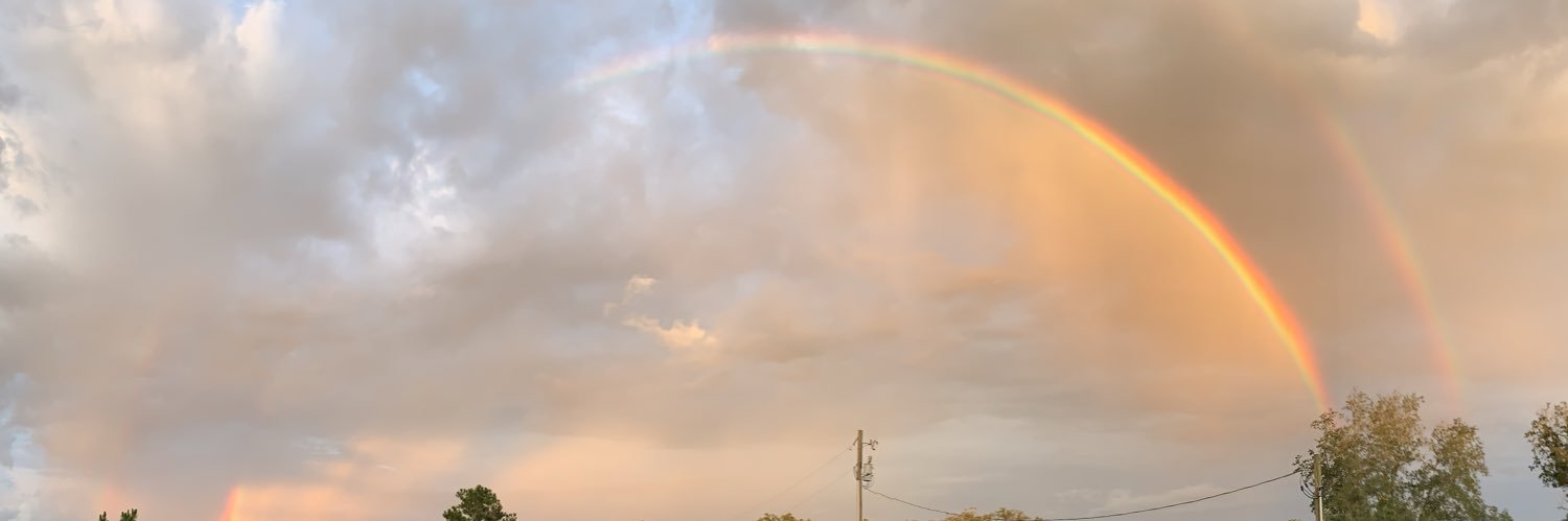 lainecarter28's profile banner image