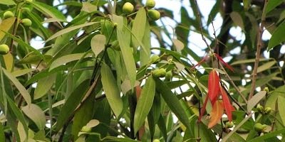 susandmcleod's profile banner image