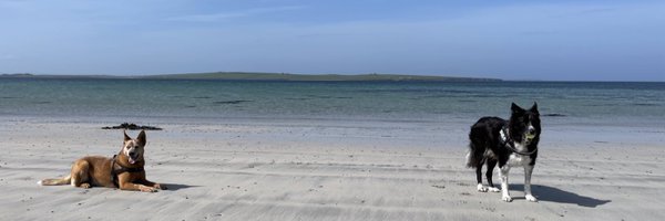 LynzSteel Profile Banner