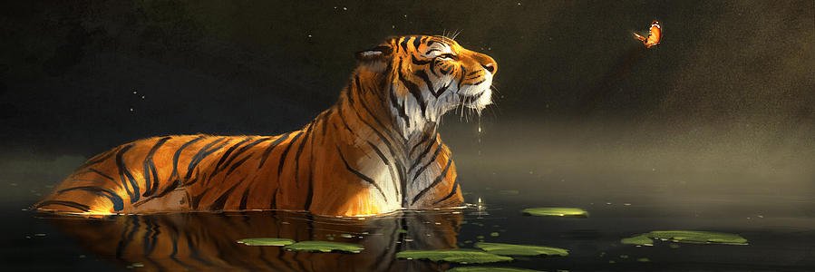 RobinCaislean's profile banner image