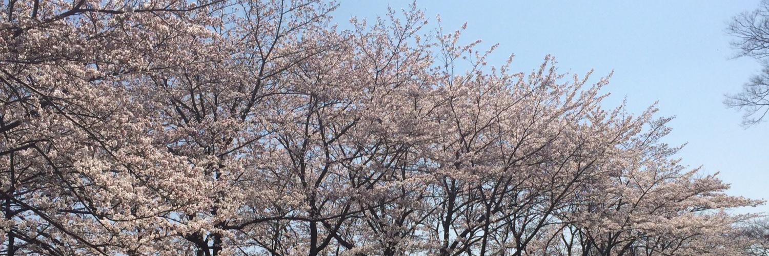 rumi_opppp's profile banner image