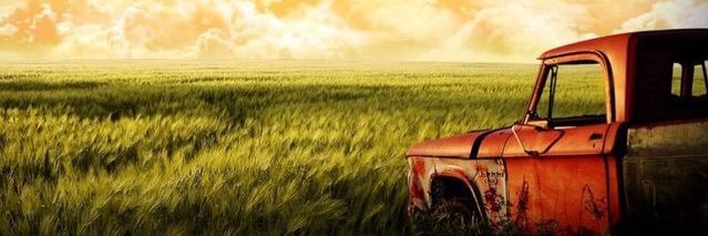 itsbrandirose's profile banner image
