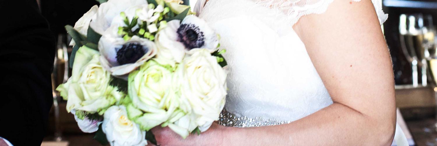 FloralInfo's profile banner image