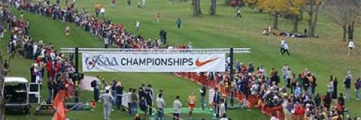 Mr. Koziarski banner