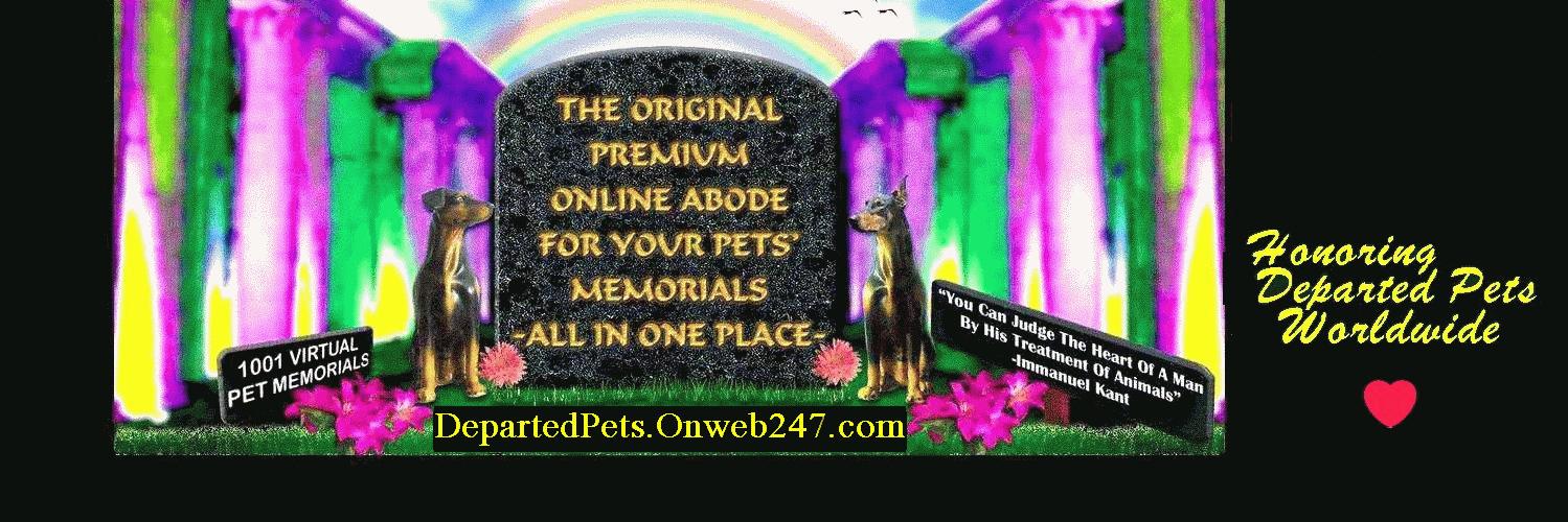 departed_pets's profile banner image