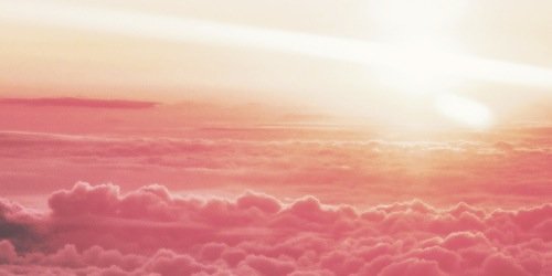 mayallgdrz's profile banner image