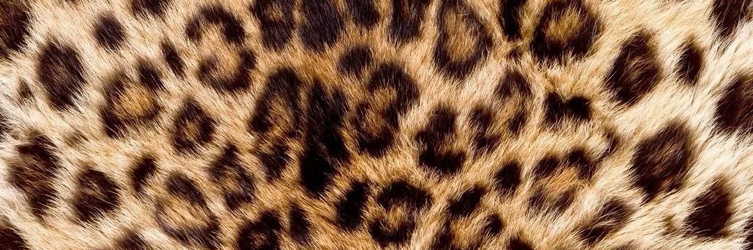 loveamoremiamor's profile banner image
