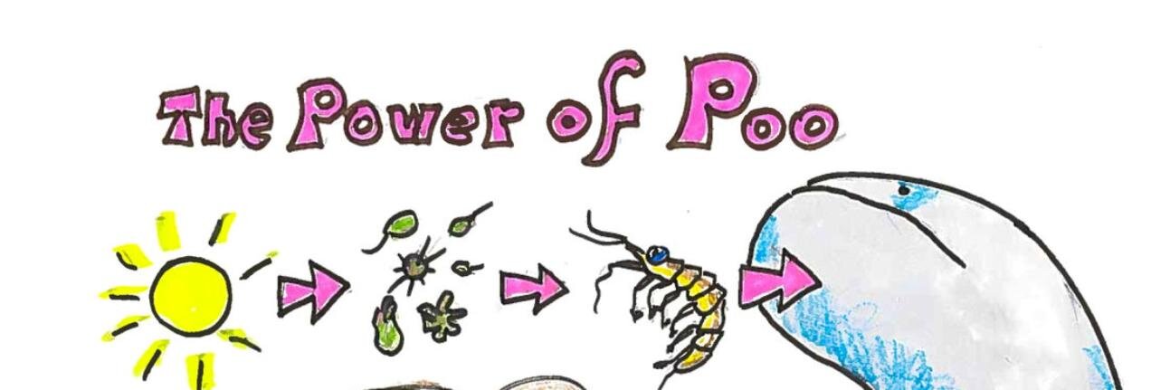 bleepbopboop banner