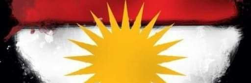 Forever Blue 🌻🇺🇦 🇬🇱 🇻🇪 banner