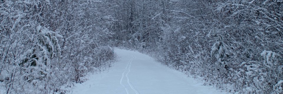 e_douglas's profile banner image