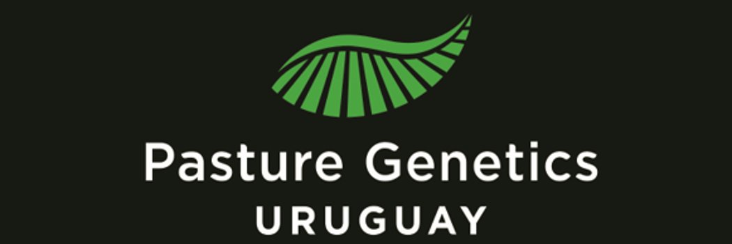 Marcelo Banchero banner