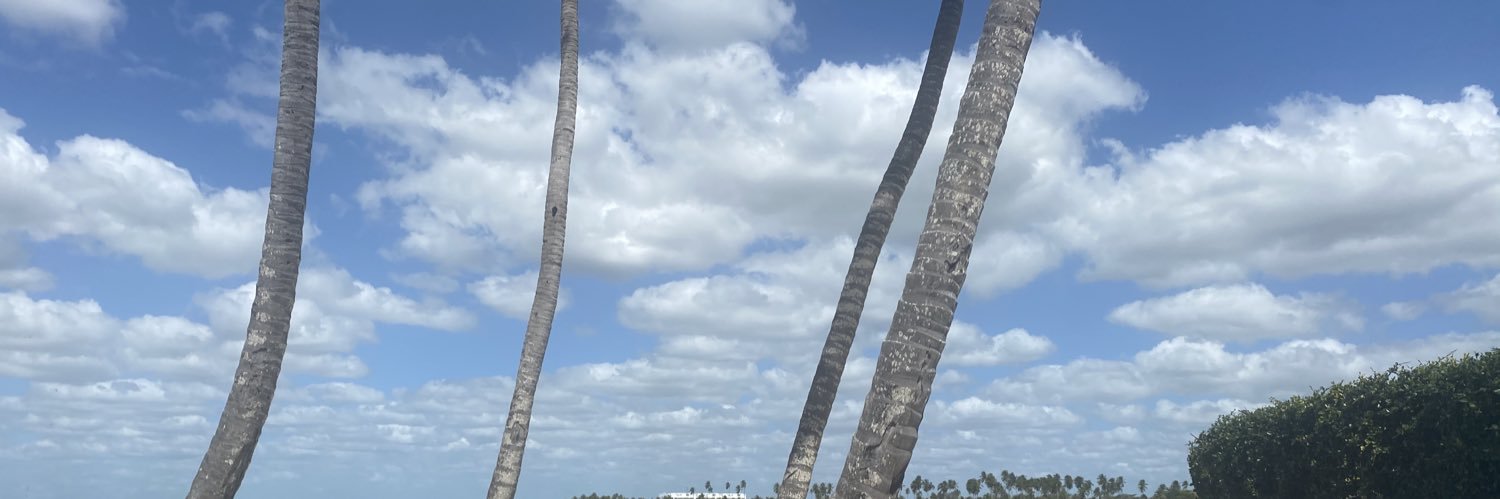 MarieRivas_'s profile banner image