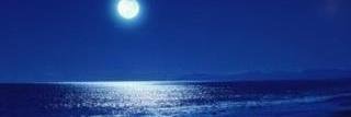 0142560's profile banner image