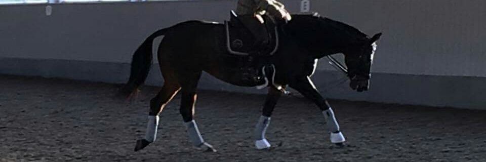 Jaynehgs's profile banner image
