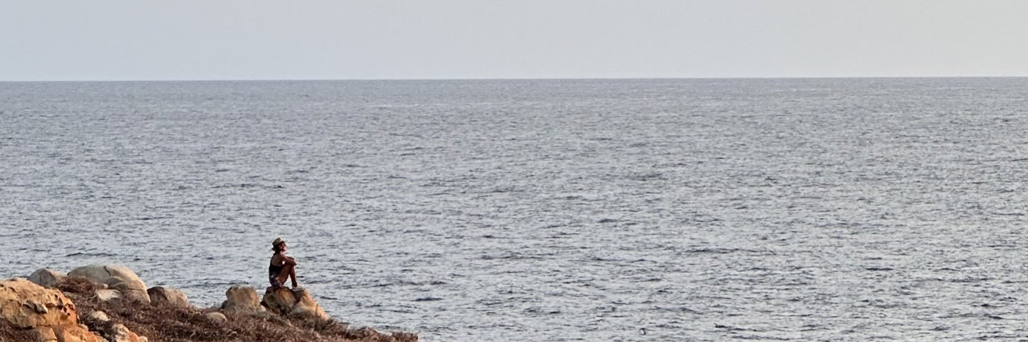 aradiiaz's profile banner image
