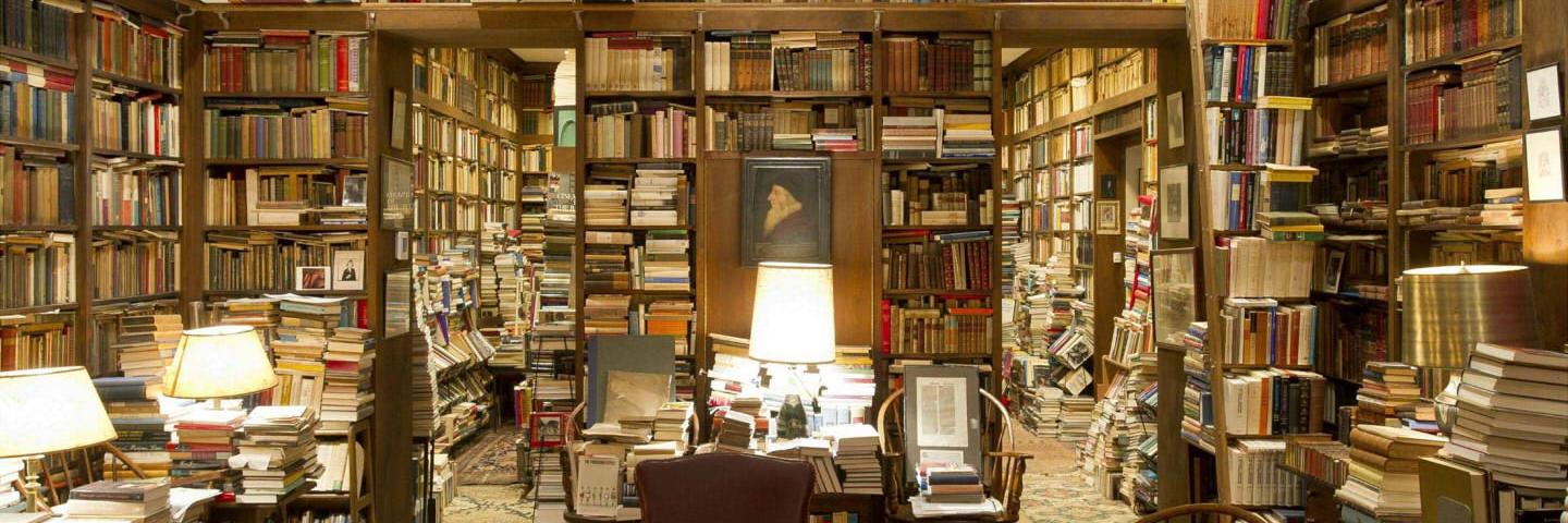 Rachelle Pouplier banner