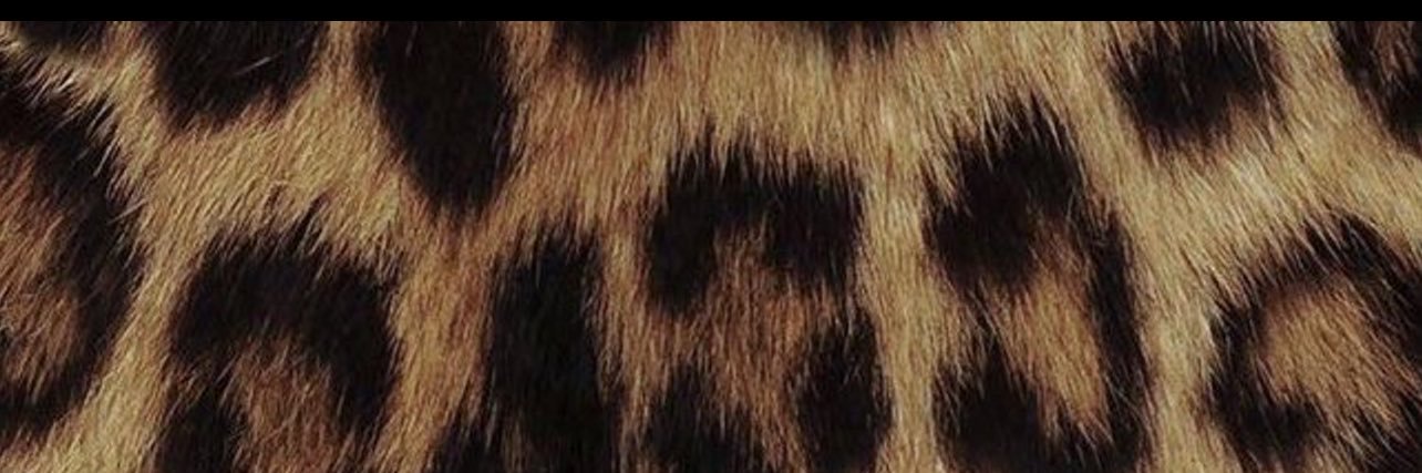 okmarvv's profile banner image