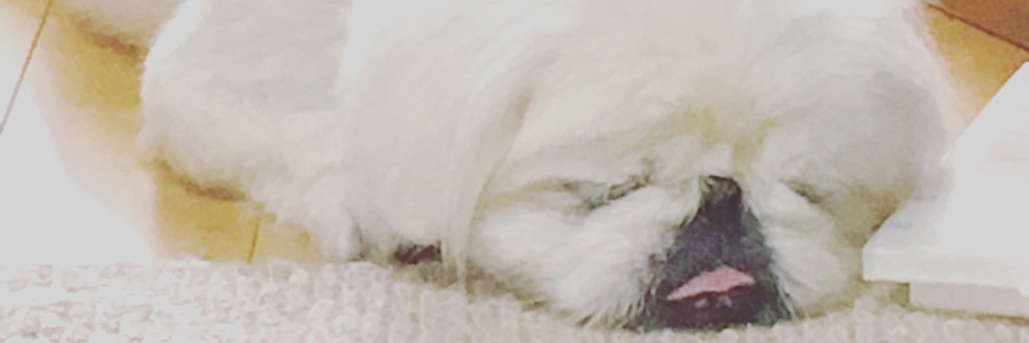 cololino's profile banner image