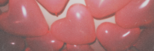 clarissagdrs's profile banner image