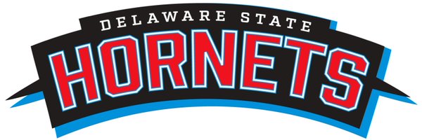 DSUMBB Profile Banner