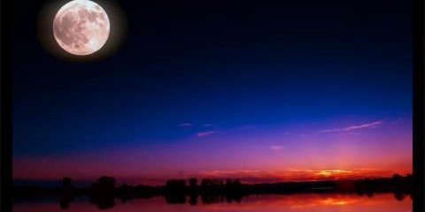 dickerson4523's profile banner image