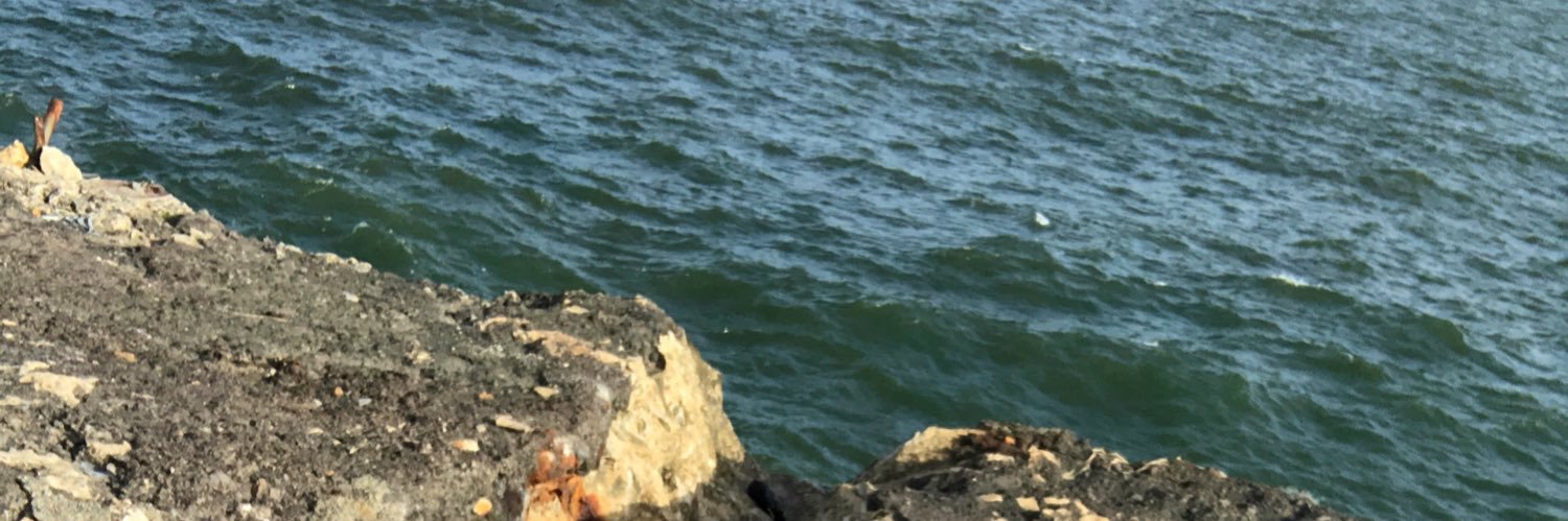 evelynvilleta's profile banner image