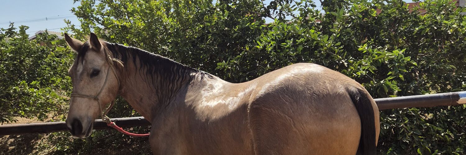 itsrafasz's profile banner image