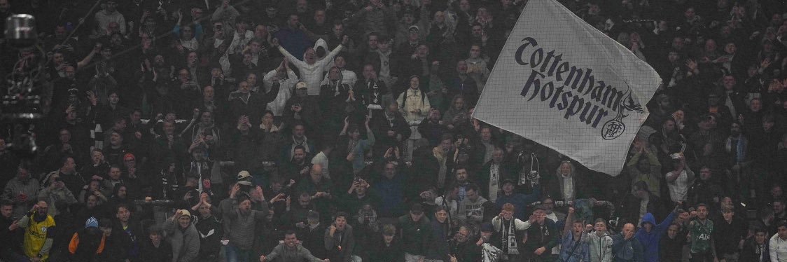 tygriffinn's profile banner image
