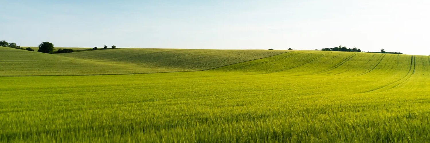 Everest All-Weather Trading Signals banner