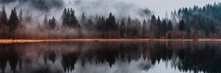 gera_montero's profile banner image