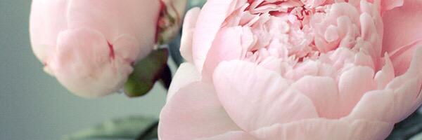 RaganMckenzie's profile banner image