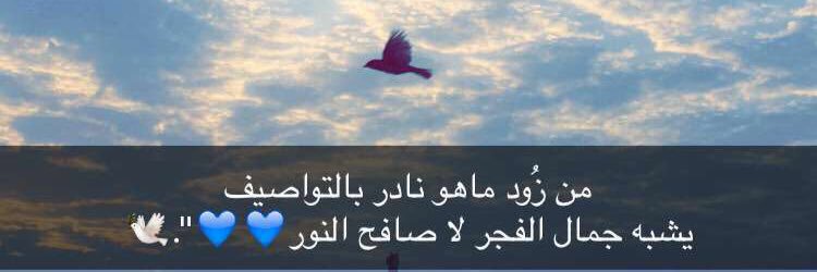 قبلان بن بجاد banner