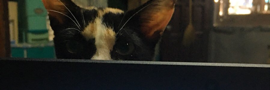 PAngingan's profile banner image