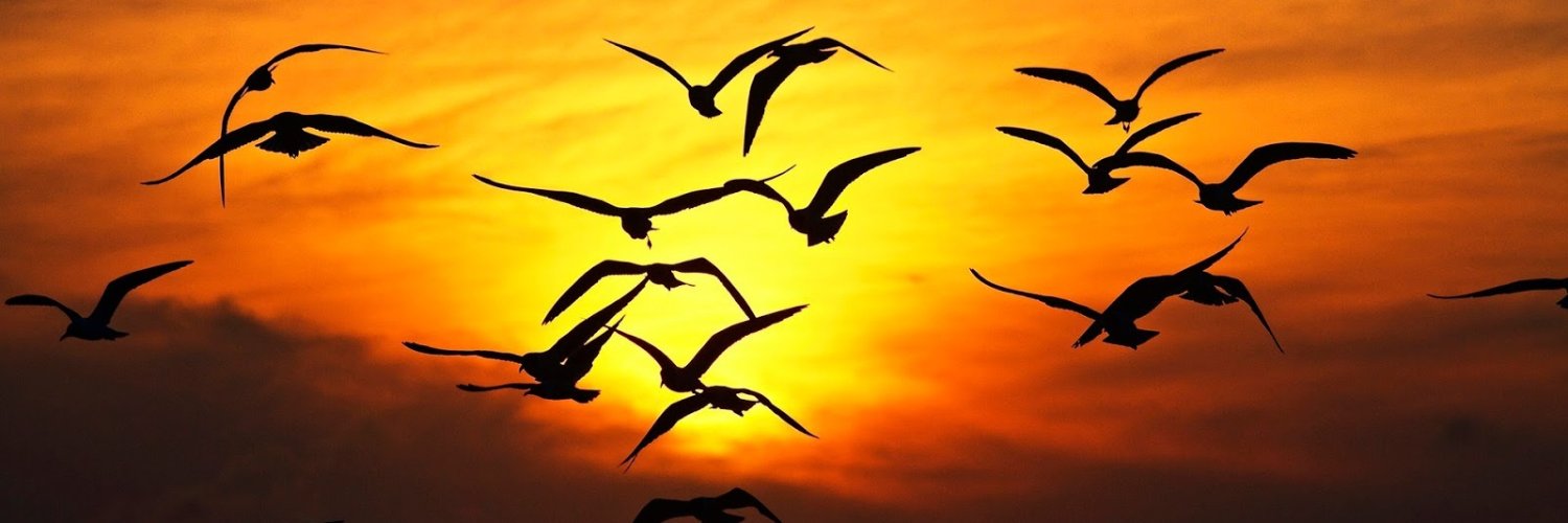 zd523's profile banner image