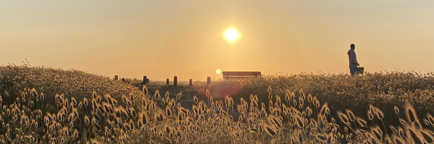 BriereZoe's profile banner image