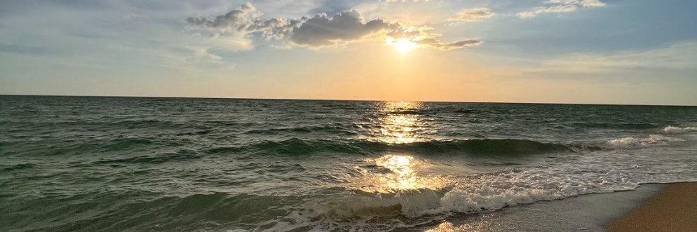 Allison Wikoff banner