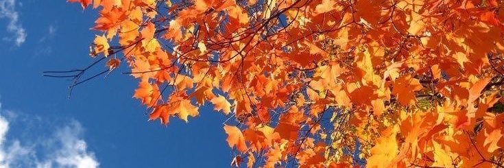 Luana_F28's profile banner image