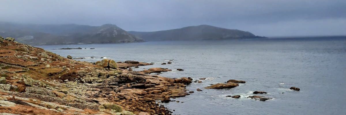 concalcetines's profile banner image