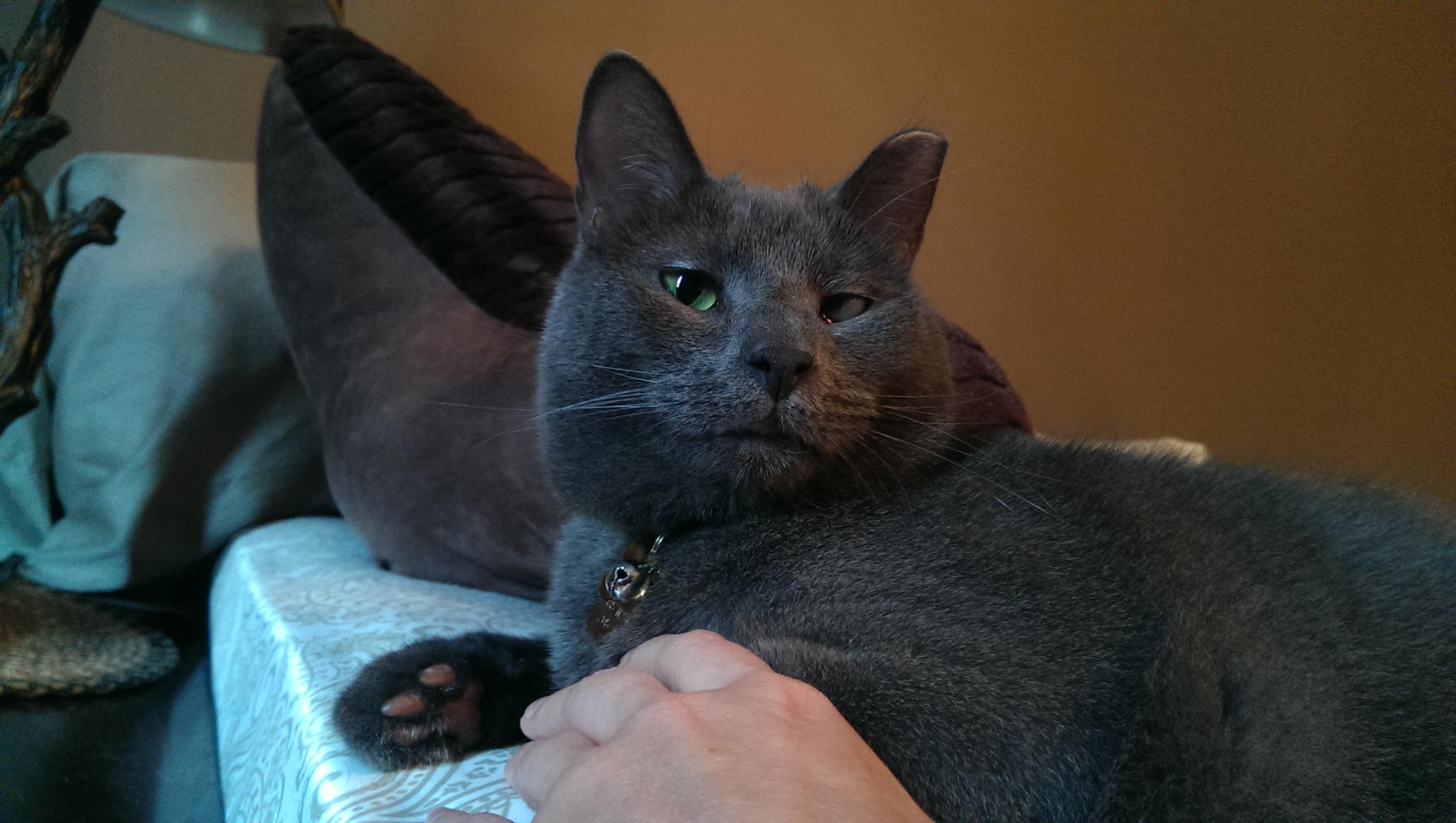 clawsomesauce's profile banner image