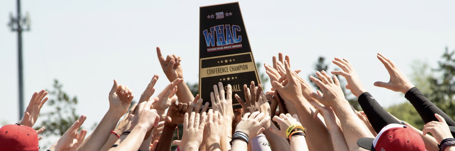 Concordia Baseball banner