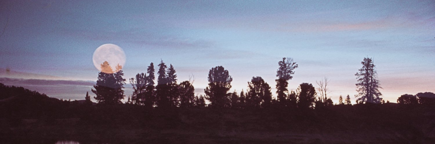 dmhyer's profile banner image