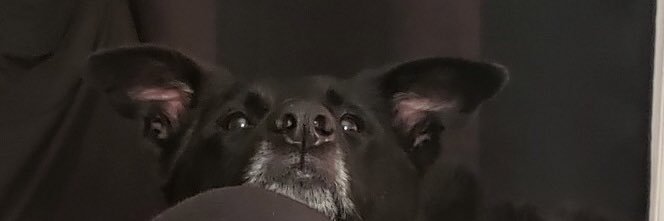 mainlyjustme's profile banner image