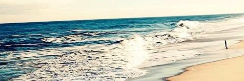 ѕαмєєя яαѕнє∂ banner