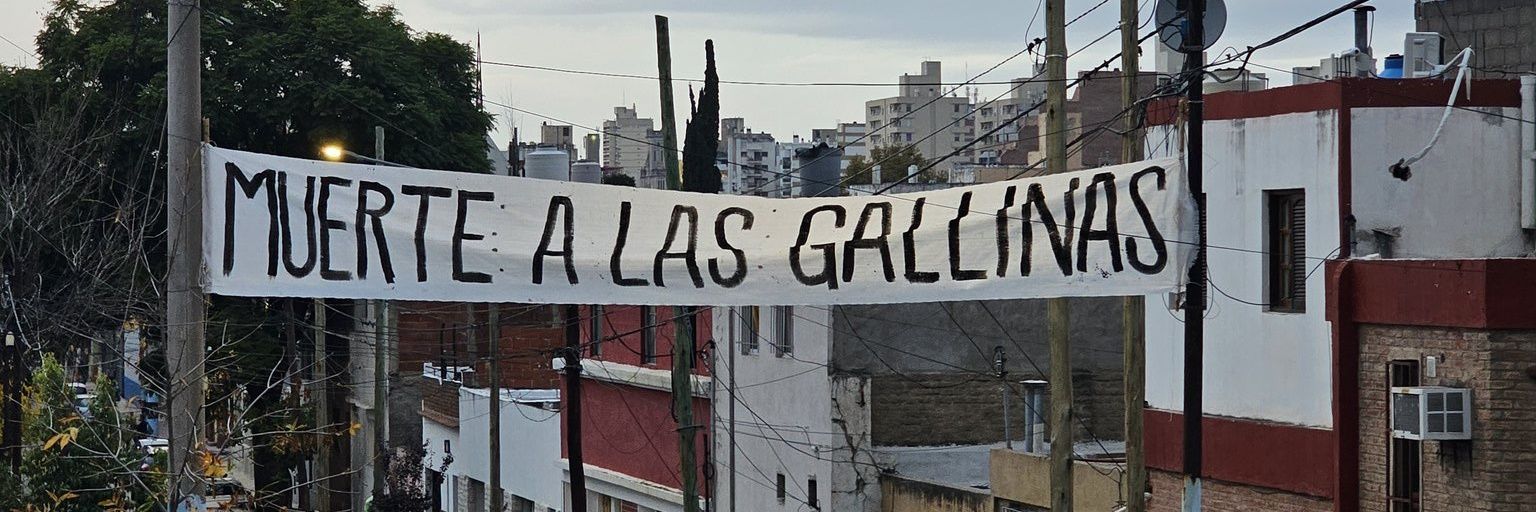tomiduarte6's profile banner image
