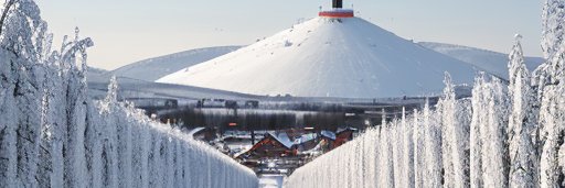 Manik Pasricha banner