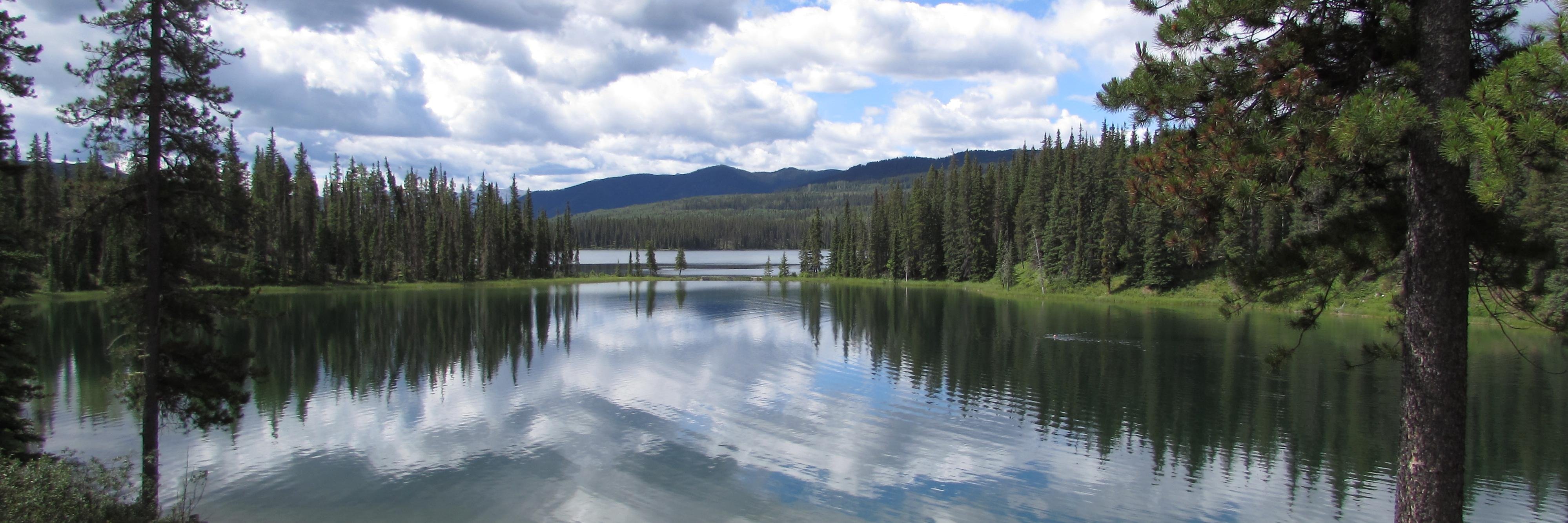 AlmaCanada's profile banner image