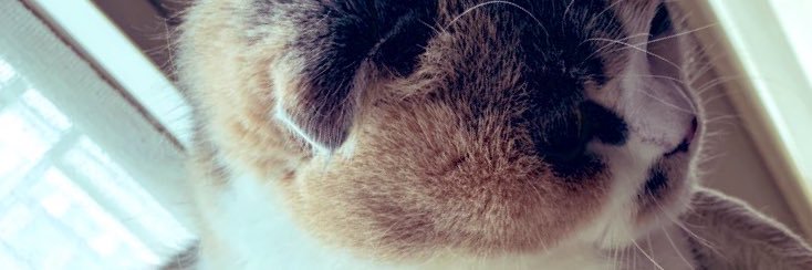 mimi_huee's profile banner image